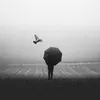 .cauduc_237