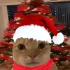 gato.de.natal