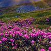 enah_cabdullah