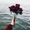 dy8jjlhkbh1y