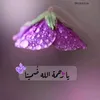 iisgh0