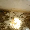 dyxziin9jmho