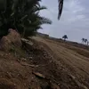 al._krawy