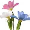 zainab_146g0