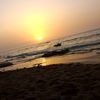 samsoma241