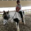 camihorses