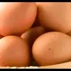bestratio