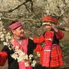 hello_laocai