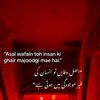 wajidkiyani861