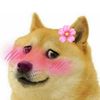 shenimg