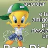 estrelabr5