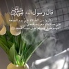 safia_542