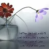 oummehdi33