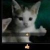 dylanh__03