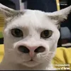 sshlov3r_