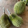 roslinyusoff