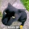 jiyykerenbanget