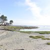 garnetgarth