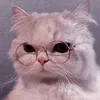 thanaphumsaisang9