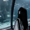 di_na560