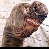 falcor31