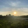 taman.kb