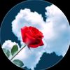 rasheed.ahmed55