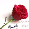 muhammadakram7335