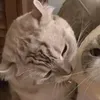 feixlzy