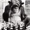 dylanplayschess