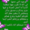 aminacherkaoui3