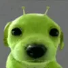 ranchuad2
