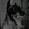 CANINE CHRONICLE