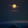 om_ali758