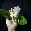 farzana886tiktok.com