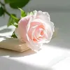 aa_bb_ss3