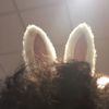 joshua_haley69