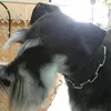 bellocomesole1