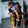 gino.alpagino