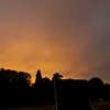 djm_679