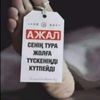 user8808278861864