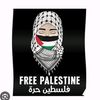 manatqamar11