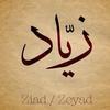 zeyad91110