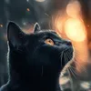 k_of_the_resurrection