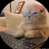 zun_079
