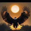 hazirshah977