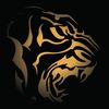 panthera.auto.detailing