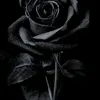user_elf1