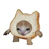 bread_is_catlife