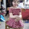 shimaamahmoud6719